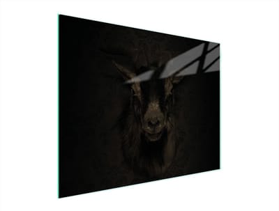 TMK ArtDeko - Snijplank van glas - 52x40 cm - Beschermplaat - UV-bedrukt