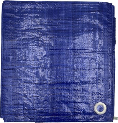 DULA Afdekzeil - 2 x 3 meter - Afdekfolie - Blauw - Waterdicht dekzeil - Grondzeil