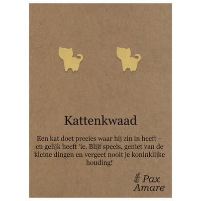 Stainless Steel Katje Oorbellen op Cadeau Kaartje - Kattenkwaad - ± 10x10mm Oorknopjes Zilverkleurig Roestvrij Staal - Pax Amare