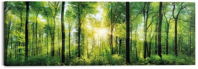 Schilderij Zomer bos - 40 x 118 - Hout - REINDERS