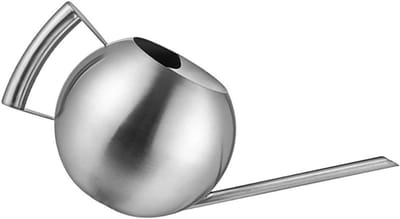 Roestvrijstalen Gieter - Waterketel Planten - Planten Water Geven - Duurzaam Krasbestendig - 29 cm Lengte - Zilver