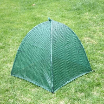 Mini Kas - Plantenhoes Vorstbescherming - Planten Beschermen - Stevig Frame - 60x60x60 cm - Transparant