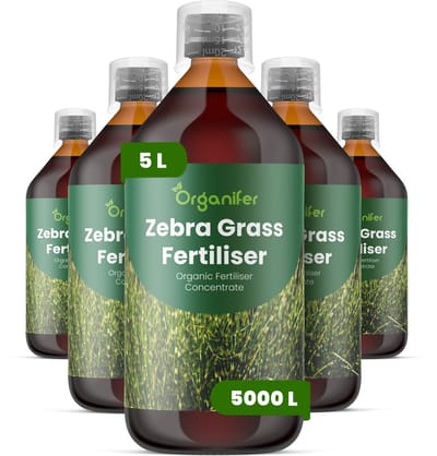 Vloeibare Meststof Voor Zebra Grass - 5X1 L Voor 5000 L - Npk 2-1-8 - Ondersteunt Sterke - Rechtopstaande Stengels - Versterkt Wortelstelsels Voor Langdurige Stabiliteit - Geschikt Voor Aanplant In Tuin - Landschap En Siergrasbeplanting - Organifer