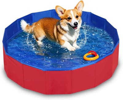 Hundepool Faltbar,60x20cm Faltbarer Pool mit Ablassventil,Planschbecken für Haustiere,Robustes Planschbecken Pool,Swimmingpool Hundebadewanne Faltbarer für Hunde und Katzen
