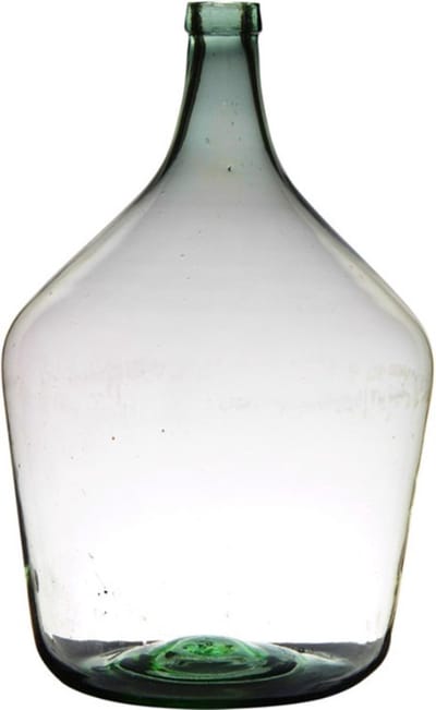 Flesvaas XL - glas - B29 x H46 cm - Bloemen/takken vaas