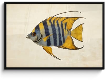 Poster in lijst - Fotolijst 120x80 cm - Posters - Vis - Sierlijk - Vinnen - Illustratie - Posterlijst zwart - Decoratie - Wanddecoratie woonkamer - Muurdecoratie slaapkamer