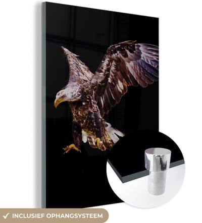 MuchoWow® Glasschilderij 120x160 cm - Schilderij acrylglas - Adelaar - Vogel - Veren - Foto op glas - Schilderijen