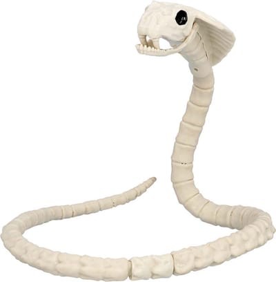 Boland - Decoratie Skelet slang - Horror - Horror