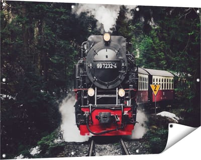 Gards Tuinposter Locomotief in de Bossen met Stoom Wolken - 120x80 cm - Tuindoek - Tuindecoratie - Wanddecoratie buiten - Tuinschilderij