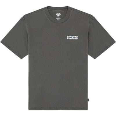 Dickies T-shirt - BUCHTELL TEE - S tot XL - voor Mannen - zwart