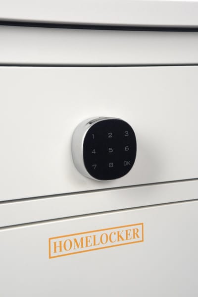 Homelocker Pakketbrievenbus Pakketkluis & Pakketbox – Volledig Geassembleerd – 100% RVS – 3 Compartimenten – Veiligheidsbeslag