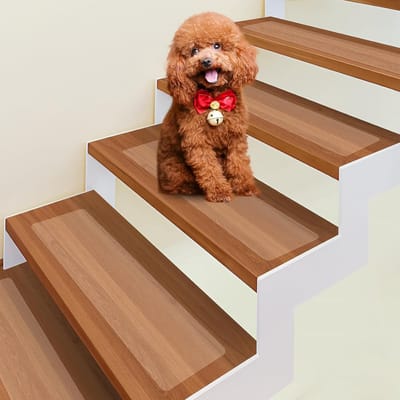 Famanu – Transparante trapmatten set 15 stuks 15 x 60 cm zelfklevend voor houten treden