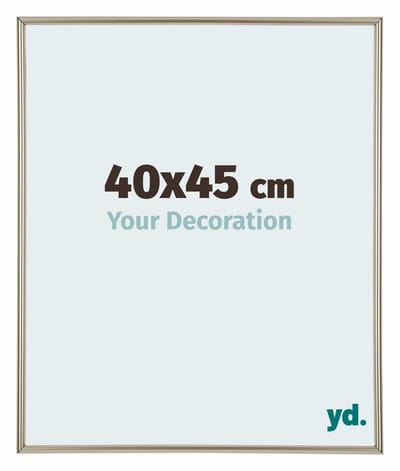Your Decoration - Fotolijst 40x45 cm - Kunststof - Champagne - Annecy