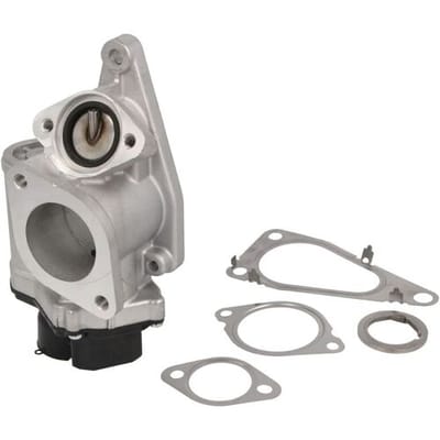 EGR-klep BORG WARNER 712018D
