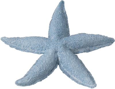 J-Line decoratie Zeester - polyresin - lichtblauw - small - 3 stuks