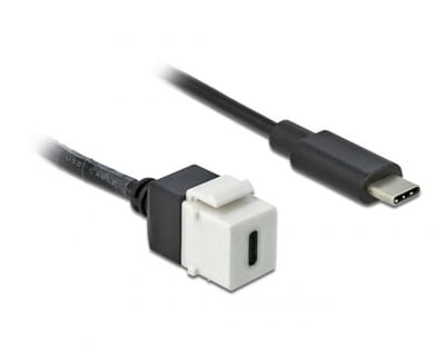 USB-C Keystone module - USB-C (m) | USB3.0 5 Gbps | wit | 0,25 meter
