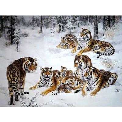 5D Doe-het-zelf Diamantschilderij  Dier tijger  Diamantfoto's Kruissteek 3D Strass Borduurwerk Decoratie 20X30CM gray