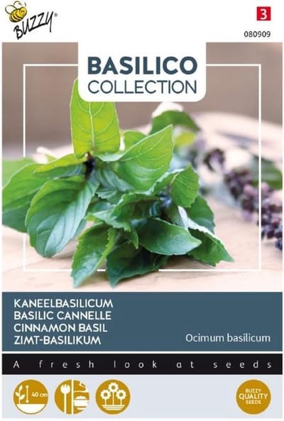 Buzzy - Kaneelbasilicum, Basilicum