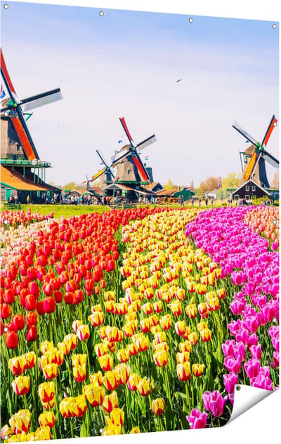 Gards Tuinposter Kleurrijke Tulpen Bloemenveld - Windmolen - 120x160 cm - Tuindoek - Tuindecoratie - Wanddecoratie buiten - Tuinschilderij