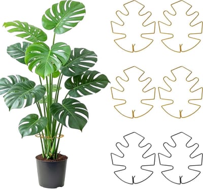 Zes Stuks Monstera Klimsteun van Metaal voor Binnenplanten, Veelzijdige Ondersteuning voor Groeiende Planten en Stelen