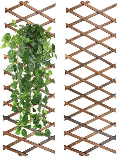 Uitbreidbare plantentrellis 2 stuks - Houten scheidingswand en plantenhek 190 x 30 cm voor klimplanten