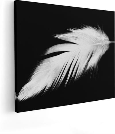 Artaza Canvas Schilderij Veer - 50x40 cm - Muurdecoratie Stilleven - Wanddecoratie Minimalistisch - Schilderijen Op Canvas