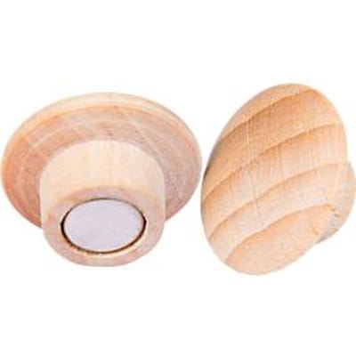 Legamaster WOODEN magneet, 5 stuks, voor Legamaster White en -glasplaten, ⌀ 25 x H 15,5 mm, beukenhout, gelakt