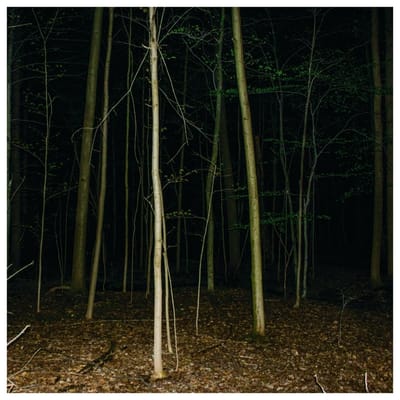 Express Rising - Fixed Rope (LP)