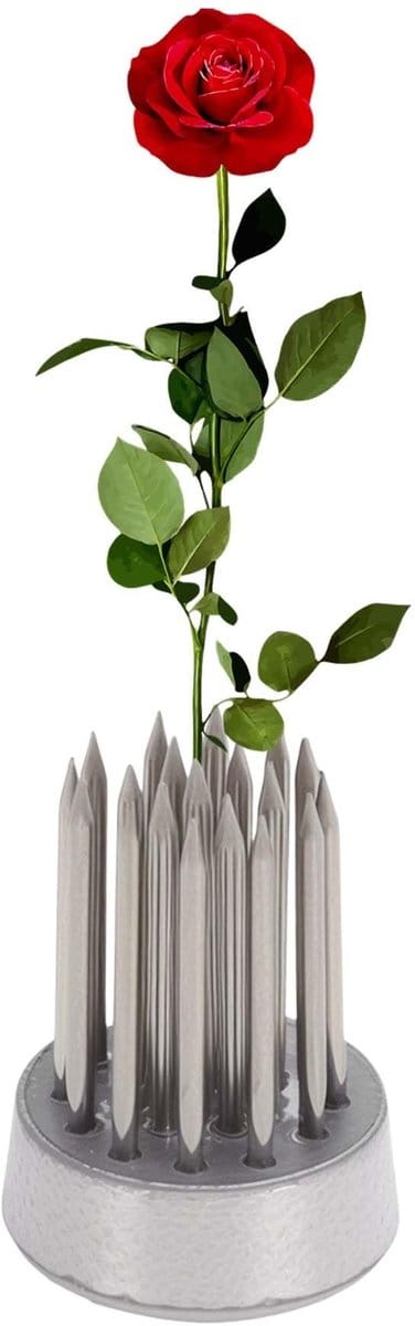 Dailygoods- Bloemenkikker - Roestvrij Staal - Kikker met Naald 15 mm - Bloemstukken - Tafelopzetstukken - Duurzaam Ontwerp - Bloemschikking