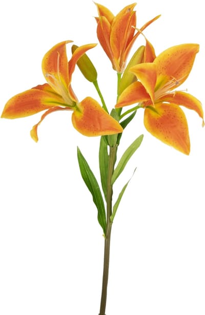 Easyplants | Kunstbloem Aziatische Lelie 66 cm oranje | Zijde | Nepbloemen | oranje | Onderhoudsvrij | Kant-en-klaar