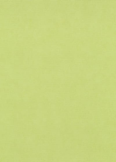 Erismann Vinylbehang 10473-35 - Coulours & Textures - Groen - 53cm x 10.05m