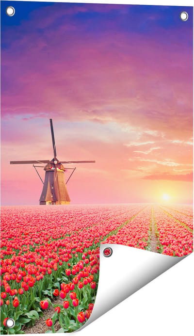 Gards Tuinposter Rode Rozen Bloemenveld met een Windmolen - 40x60 cm - Tuindoek - Tuindecoratie - Wanddecoratie buiten - Tuinschilderij
