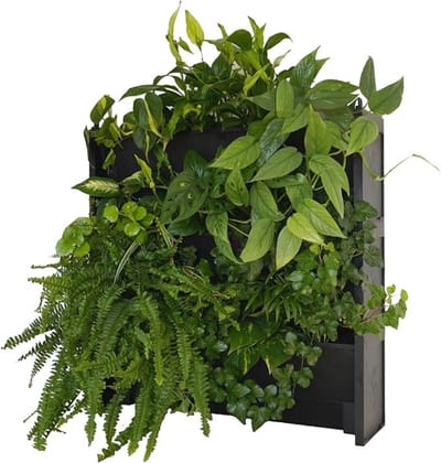 Thuys – Verticale Tuin Met Watersysteem – Moestuin – Watersysteem – 60cm x 15cm x 60cm – Zwart
