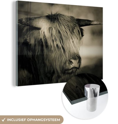 MuchoWow® Glasschilderij 160x120 cm - Schilderij acrylglas - Schotse Hooglander - Dieren - Haar - Foto op glas - Schilderijen