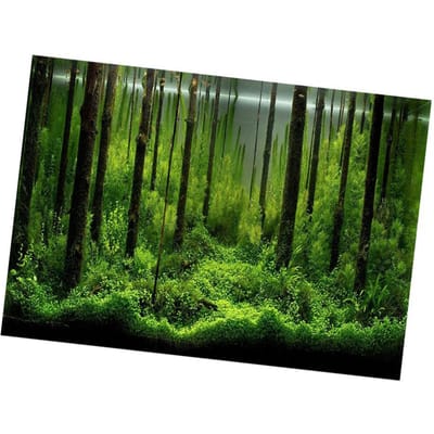 PVC Lijm Onderwater Achtergrond Poster Achtergrond Decoratie Papier (61*30cm)