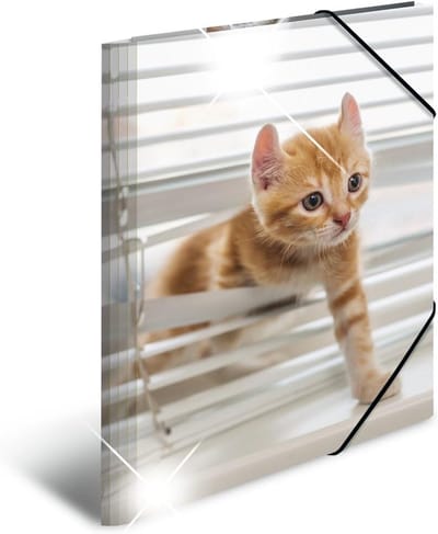 Set van 3 A3 Verzamelmappen met Kattenprint - Stevige Kunststof Opbergmappen
