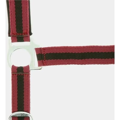 Halter Norton Doublé néoprène