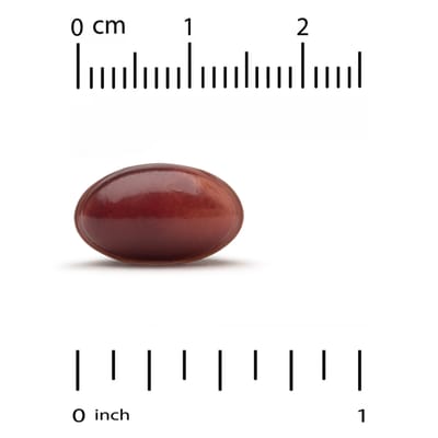 Lake Avenue Nutrition, CoQ10, avec Bioperine, 100 mg, 365 gélules végétales molles