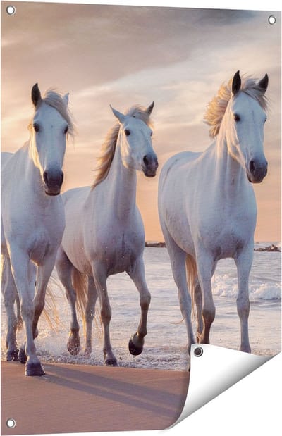 Gards Tuinposter Witte Paarden op het Strand bij Water - 60x80 cm - Tuindoek - Tuindecoratie - Wanddecoratie buiten - Tuinschilderij