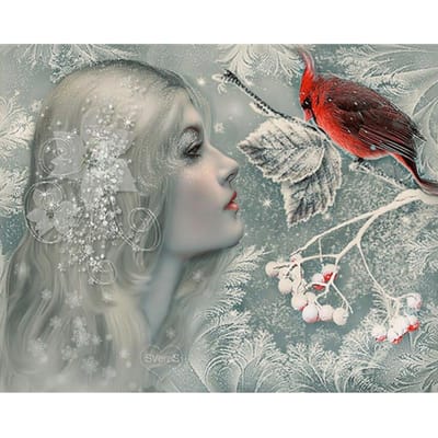 Peinture diamant thème beauté et oiseau, broderie complète 5d, mosaïque, point de croix, décoration d'intérieur, à faire soi-même 20X30CM gray
