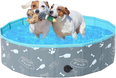 Hard zwembad voor grote honden - Opvouwbaar, antislip en veilig PVC met meerdere maten