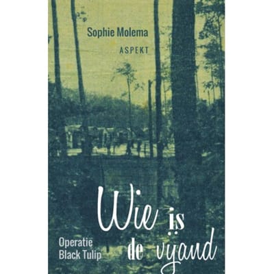 Wie Is De Vijand - Sophie Molema