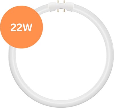 TL5 Ronde TL-buis 22W – 830 Warm Wit – 2GX13 (4-pins) Ø 23cm – Vervangt Philips/Osram