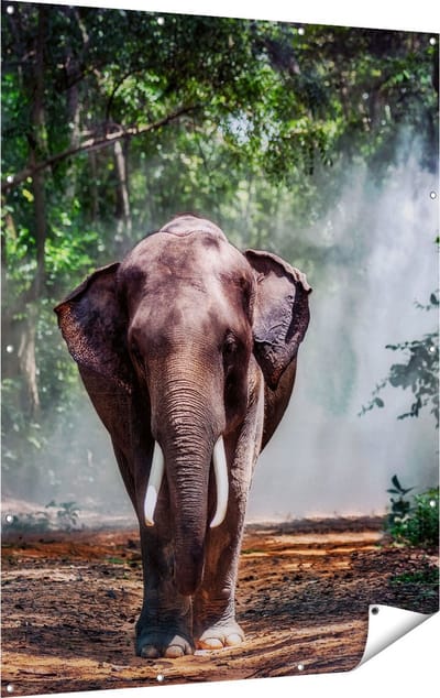 Gards Tuinposter Olifant in het Bos - 120x160 cm - Tuindoek - Tuindecoratie - Wanddecoratie buiten - Tuinschilderij