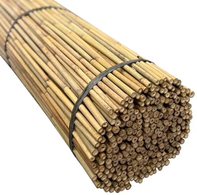 Masters of Bamboo® Bamboestokken Tonkin Ø 12-14 mm - 90 cm - 25 stuks