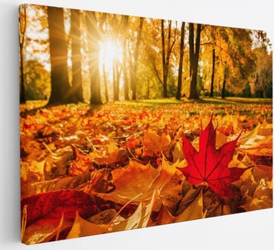 Saammp Canvas Schilderij - Rood Herfst Blad - Natuur - Bloemen - 30x20 - Foto op canvas - Wanddecoratie - Muurdecoratie Woonkamer - Slaapkamer decoratie - Canvas Print
