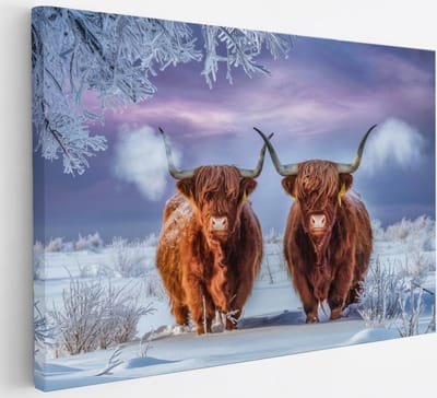 Saammp Canvas Schilderij Schotse Hooglander Koe in de mist - Dieren - Natuur - 30x20 - Foto op canvas - Wanddecoratie - muurdecoratie Woonkamer - Slaapkamer decoratie - Canvas Print