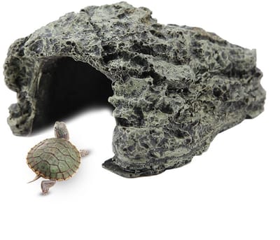 Jhubersproducts - Vissen Schuilplaats - Schildpad Habitat - Milieuvriendelijke Hars - Wit - Terrarium Decoratie - Verbergen en Koesteren - Voor Reptie