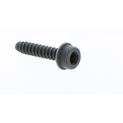 Screw