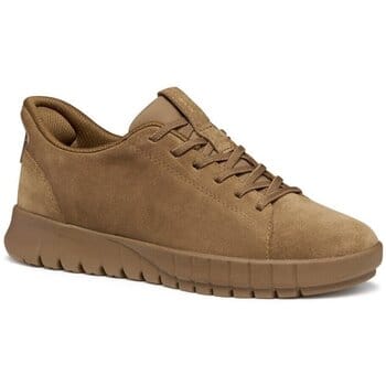 Lage Sneakers Geox -